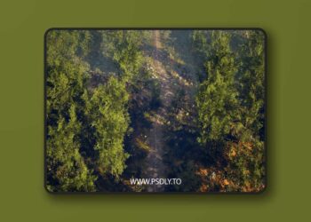 Biome Generator PCG (5.3 – 5.6)