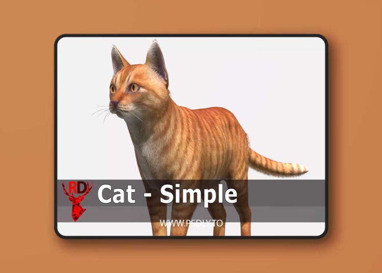 Cat - Simple v3.0 for Unreal Engine 1 Cat - Simple v3.0