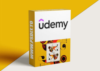 Course 1_Master Adobe Illustrator Essentials 2025