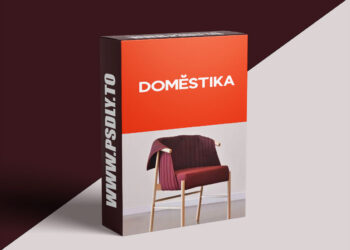 Domestika - Designing and Prototyping Your First Chair