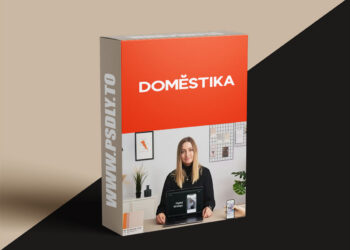 Domestika - Digital Marketing Strategy: Build Your Online Presence