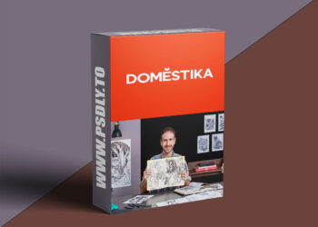 Domestika - Drawing from Observation for Beginners