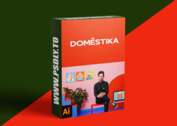 Domestika - Geometric Illustration for Social Media: Make Your Vectors Pop