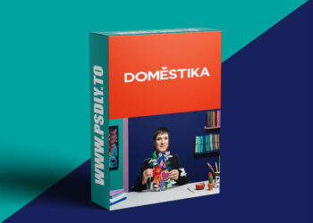 Domestika - Layered Illustration with Felt