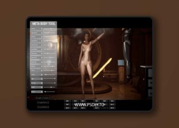 Meta Customization System (5.3 – 5.6)