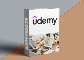 Microsoft 365 for Beginners: Word, Excel, and PowerPoint