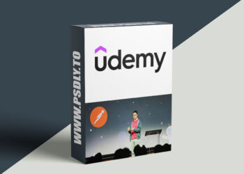 Postman fundamentals