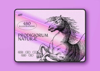 Prodigiorum Naturae - Illustrations