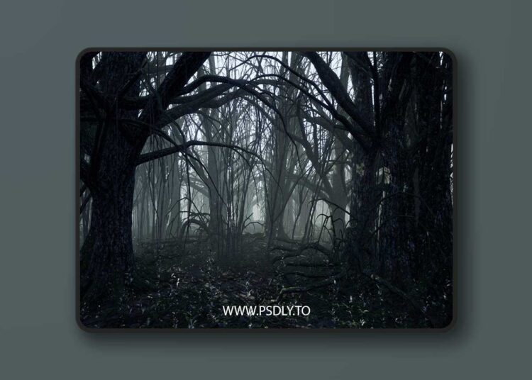 Dark Forest (4.19 – 4.27 and 5.0 – 5.7) for Unreal Engine 1 Dark Forest (4.19 – 4.27 and 5.0 – 5.7)