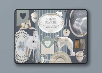 Decorative Objects & Paper Archive