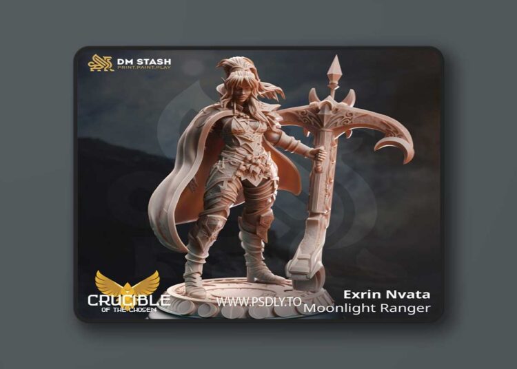 Exrin Nvata – Moonlight Ranger – 3D Print Model 1 Exrin Nvata – Moonlight Ranger – 3D Print Model