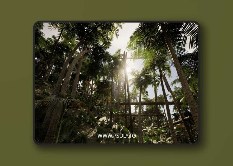 Hangar warehouse in the tropics (5.3+) 1 Hangar warehouse in the tropics (5.3+)