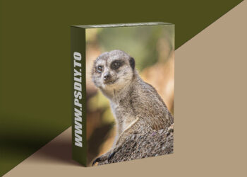 KelbyOne - The Art of Zootography