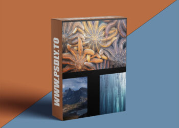 Naturephotocollective - Eric Bennett - "Adding by Subtracting" - The Art of Exclusion