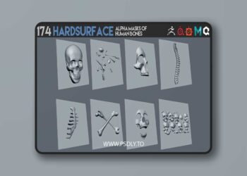 174 Hardsurface alpha masks of human bones