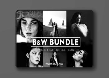FilterGrade 60 BLACK and WHITE BUNDLE Lightroom Presets