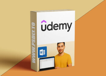 Microsoft Word Basics: Master the Interface & Essential Tool