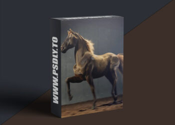 Rebelway - Creature Rigging in Houdini