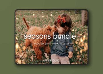 Filtergrade THE SEASONS BUNDLE Premium Photography Lightroom Presets