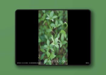 NANITE PLANT (5.3 – 5.7)