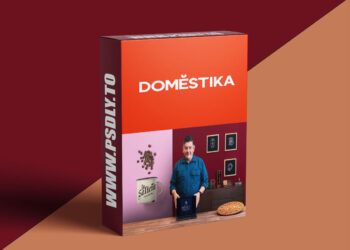 Brand Identity: Logotypes that Tell Stories