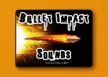 Bullet Impact Sounds v1.0