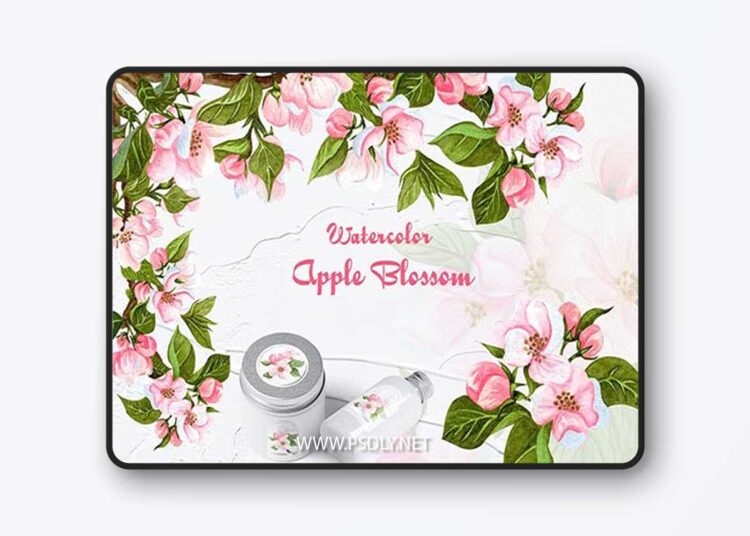 Apple Blossom Watercolor Clipart 1 Apple Blossom Watercolor Clipart