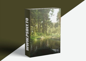 CGCircuit – CG Forest Deep Compositing