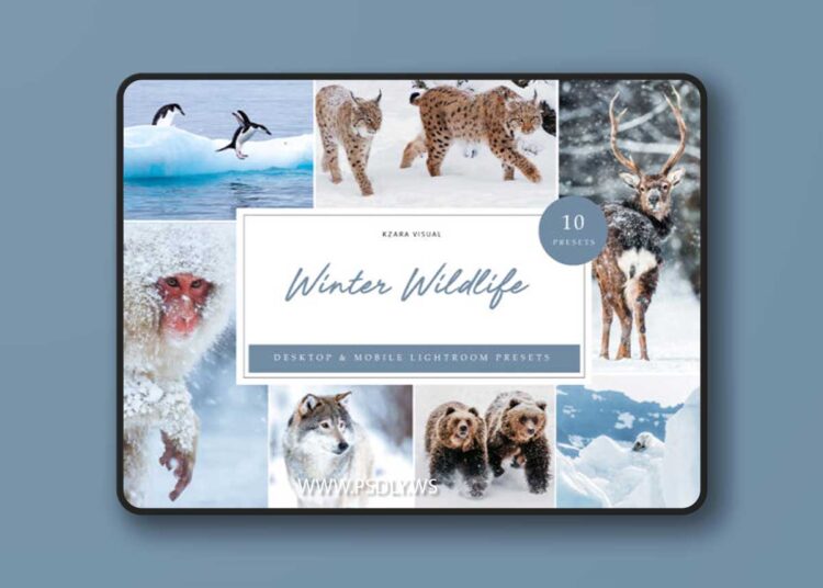 Filtergrade - Winter Wildlife Presets 1 Filtergrade Winter Wildlife Presets