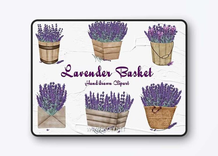 Lavender Basket 1 Lavender Basket