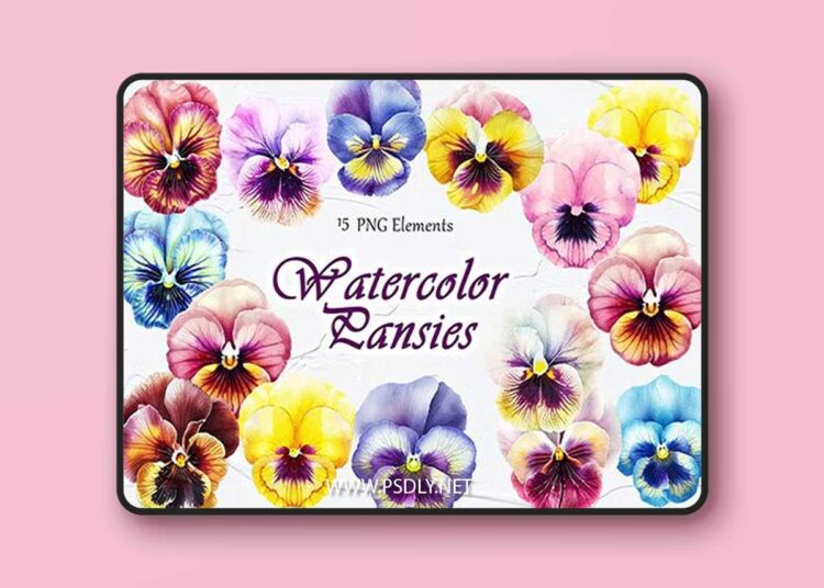 Pansy Flowers Watercolor Clipart 1 Pansy Flowers Watercolor Clipart