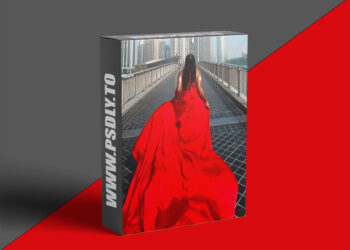 Paris Smith – The Wealth Academy