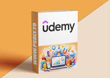 Professional Diploma in Digital Marketing Fundamentals