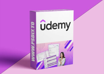 Udemy – Reporting Aesthetically in Excel 5 Reporting Aesthetically in Excel