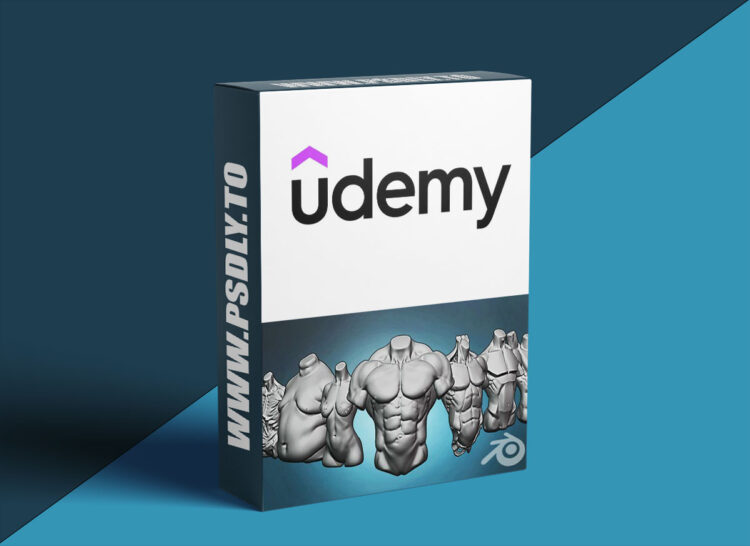 Udemy – Torso anatomy exercises course 1 Torso anatomy exercises course