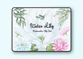 Water Lily Clipart
