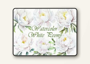White Peony Watercolor Clipart 7 White Peony Watercolor Clipart