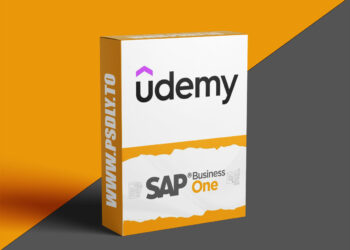 Udemy – SAP Business One Advance Professional Training 2026 6 SAP Business One Advance Professional Training 2026